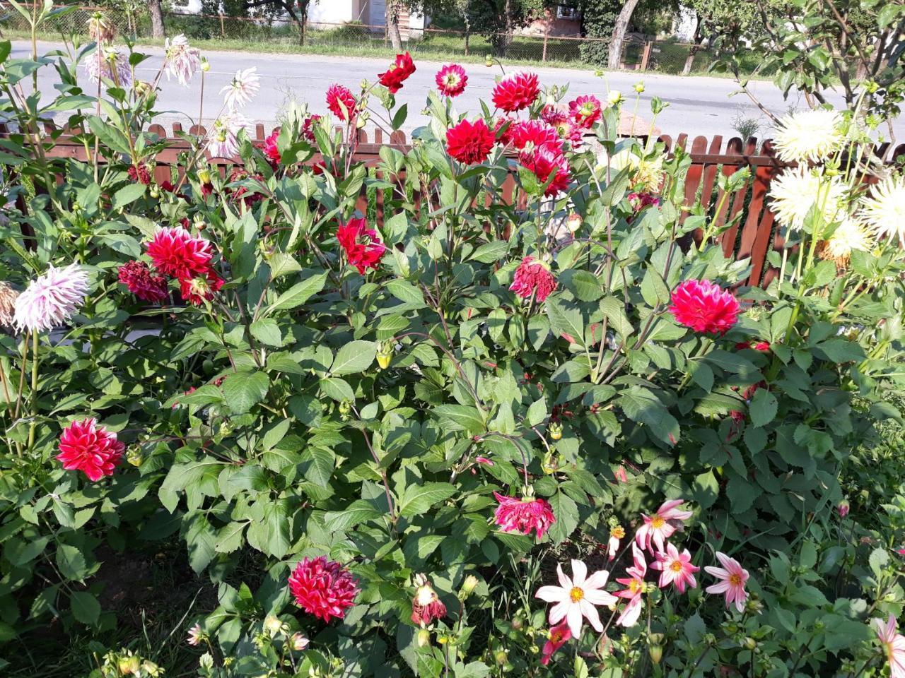 Villa Anastasiya Izki Esterno foto